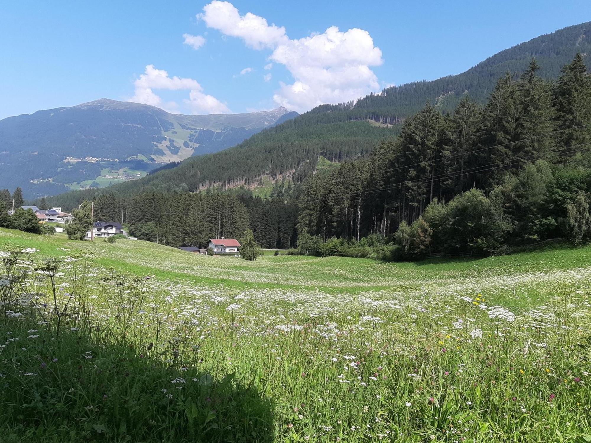 Apartment Waldnah Wenns Dış mekan fotoğraf