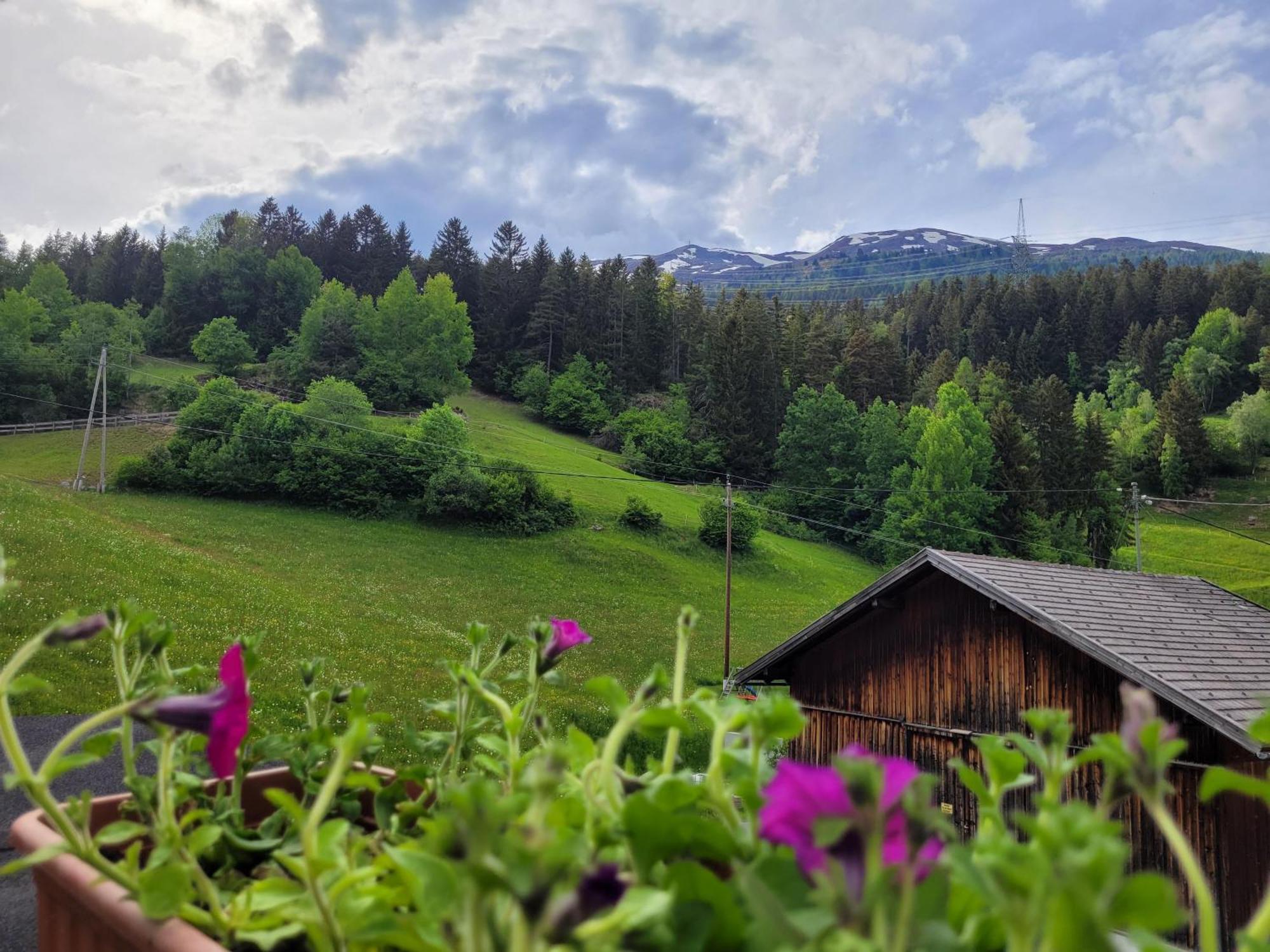 Apartment Waldnah Wenns Dış mekan fotoğraf